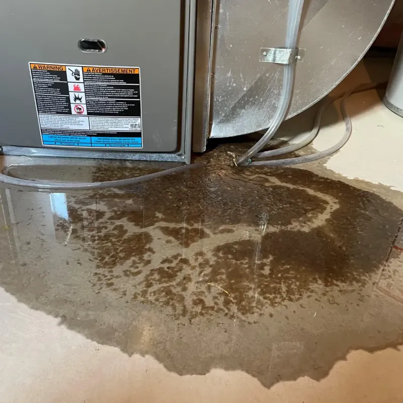 Appliance Leak Cleanup in Hummelstown, PA